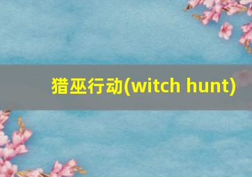 猎巫行动(witch hunt)